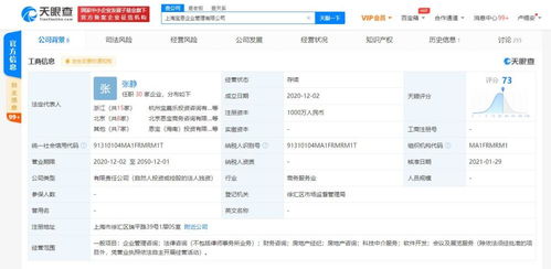 信息技术咨询服务的价值与未来趋势